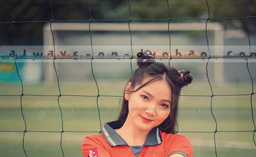 整齐排列的彩色文件夹，贴着年份标签，记录每个项目轨迹。